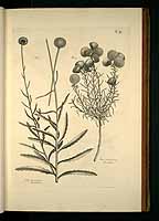  no thumbnail available