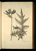  no thumbnail available