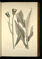  no thumbnail available