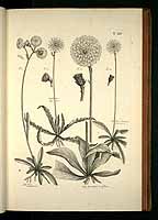  no thumbnail available