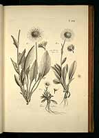  no thumbnail available