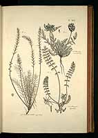  no thumbnail available