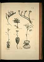  no thumbnail available