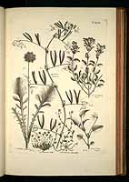  no thumbnail available