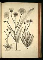  no thumbnail available