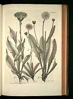  no thumbnail available