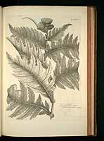  no thumbnail available