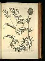  no thumbnail available