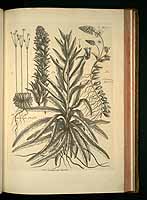  no thumbnail available