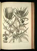  no thumbnail available