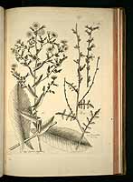  no thumbnail available