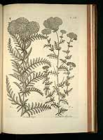  no thumbnail available