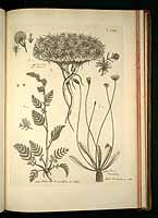  no thumbnail available