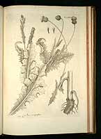  no thumbnail available