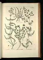  no thumbnail available