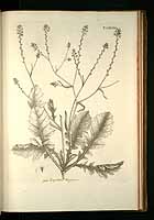  no thumbnail available