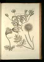  no thumbnail available