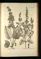  no thumbnail available