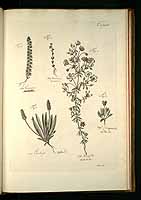  no thumbnail available