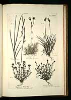  no thumbnail available