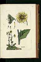  no thumbnail available