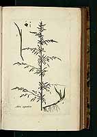  no thumbnail available