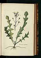  no thumbnail available