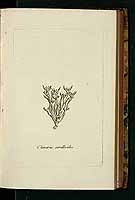  no thumbnail available