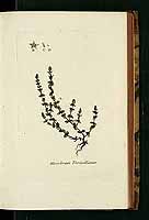  no thumbnail available