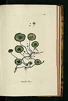  no thumbnail available