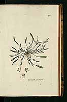  no thumbnail available