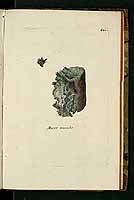  no thumbnail available