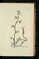  no thumbnail available