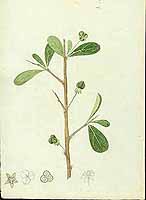  no thumbnail available