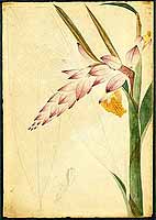  no thumbnail available