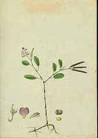  no thumbnail available