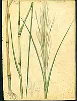  no thumbnail available