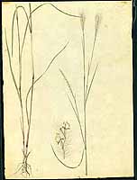  no thumbnail available