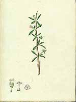  no thumbnail available