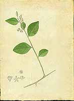  no thumbnail available