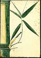  no thumbnail available