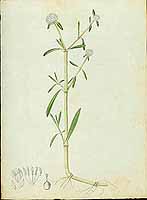  no thumbnail available