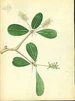  no thumbnail available