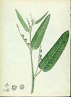  no thumbnail available