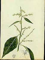  no thumbnail available