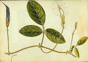  no thumbnail available