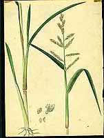  no thumbnail available