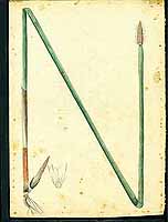  no thumbnail available