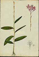  no thumbnail available