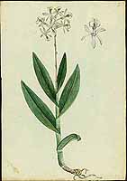  no thumbnail available